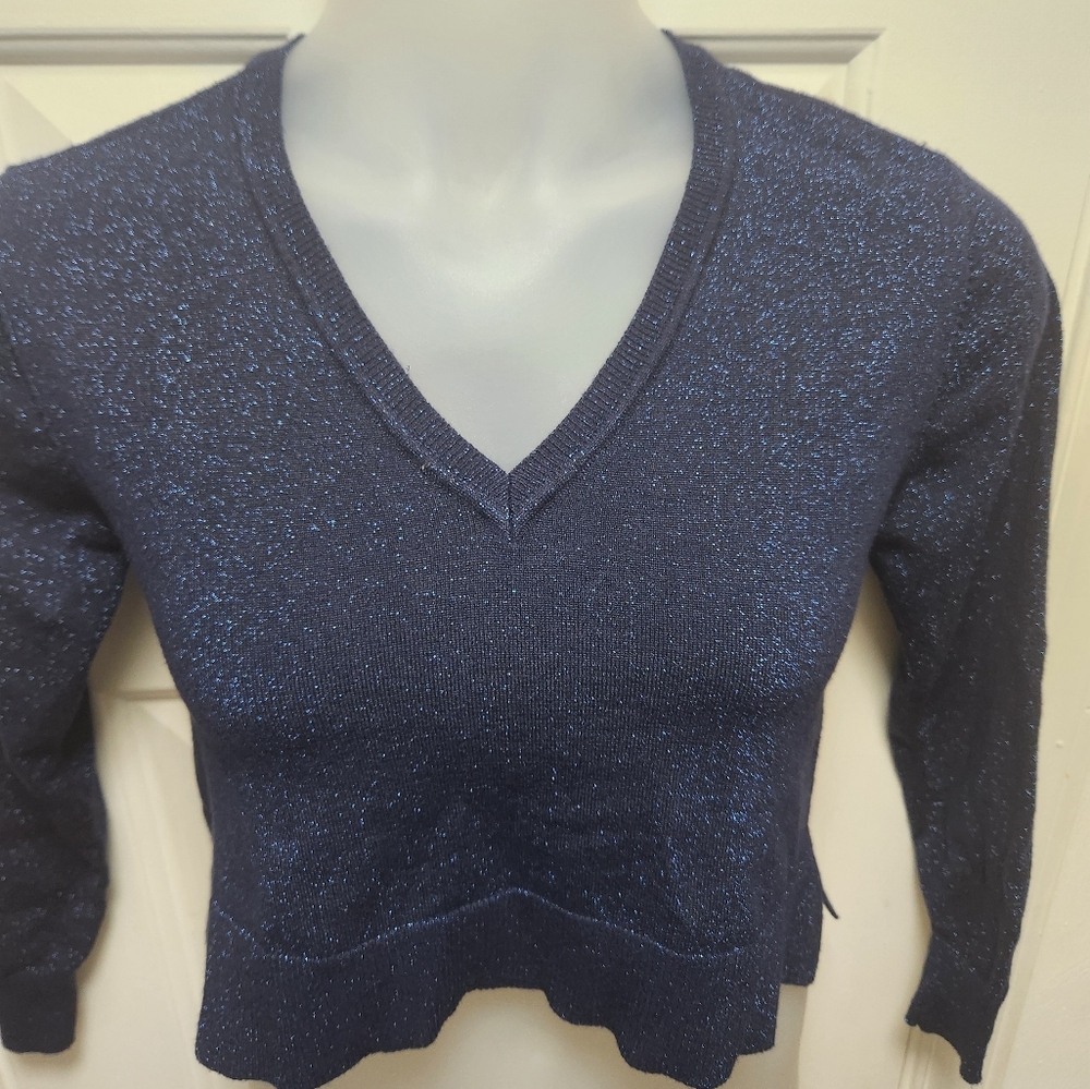 Sam Edelman Cropped Sweater Size 2